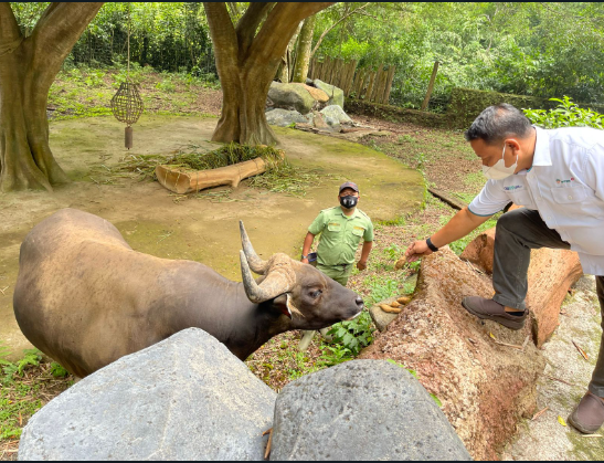 lognews201 berita banteng