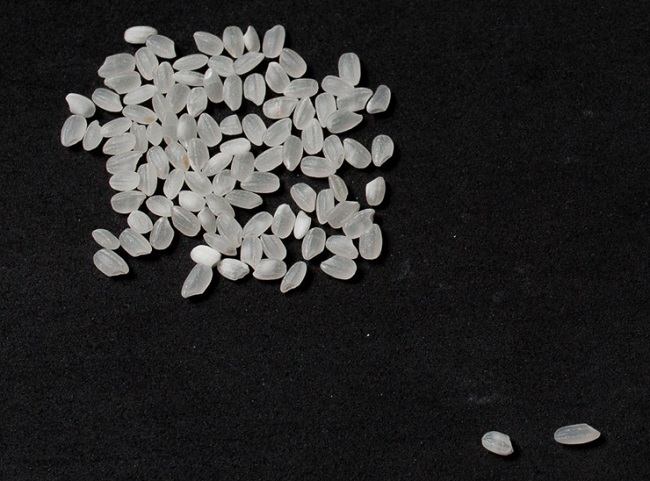 lognews beras jepang