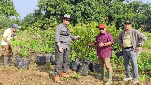 lognews 6 pojon kadu poltek