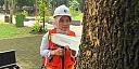 Peran Arboris Sebagai Dokter Pohon